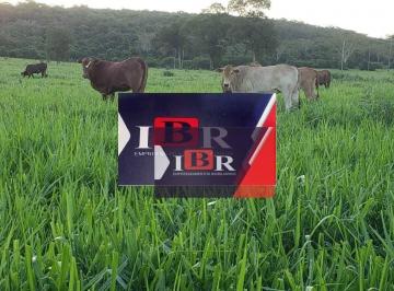 e0565360af89e6dcc042eb6553fd5bad670027f2 · Fazenda em Terenos - MS