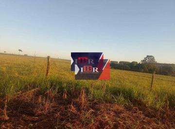 cb98397b75a313c81595e76652398b01adc23c83 · Fazenda em Juti - MS