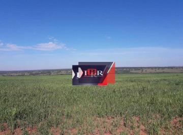 bc8d4ec387f574a0e244340db7fa6a91cb1d863b · Fazenda em Anhandui MS