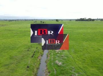 464697a8d6c849ed9d7d0d8253d7dfc2d35c72ad · Fazenda em  Batayporã MS