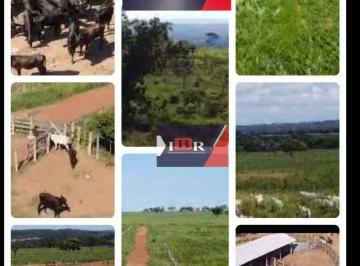 6dd99ccb21993303416446d8bc4755b9b70fecb6 · Fazenda em Rio Negro - MS