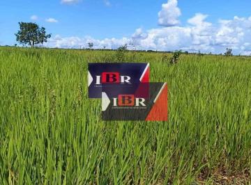 d8ca793f9631b8c8432bd2f33cdfc4bf03bcdbf5 · Fazenda em Alto Araguaia - MT