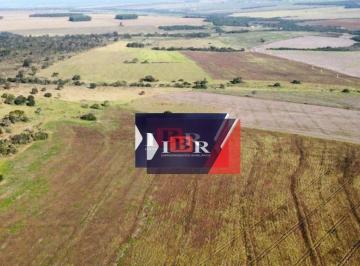 b526cdecff604904e8e2c6d24755474db6e3a923 · Fazenda em Ribas do Pardo - MS