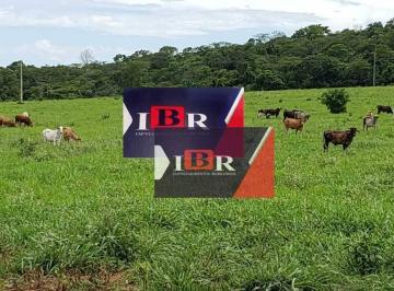 3f3c8e08b47b01157ede4df451f6e4bc8741e679 · Fazenda em Terenos - MS