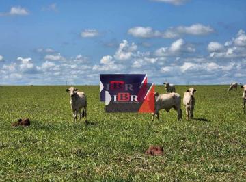 e341facd90cbedd91b16418bfe03416a30caf35d · Fazenda em Dois Irmãos do Buriti