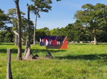 22f23754697a1b8d9d7bb372bb00ccf707e5e637 · Fazenda em Santo Antônio do Leverger - MT