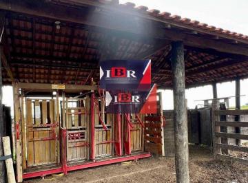 5fa379095d495f7b8046794c2ac56cc50d15c86e · Fazenda em São Gabriel do Oeste - MS