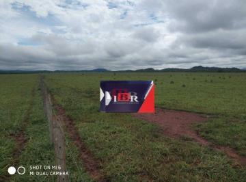 ccb45aca61c6e3d7a048c8767137ee8edde0f0b3 · Fazenda em Miranda - MS