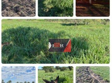 d10838a0857ba9166c40838295041fc30bf0c251 · Fazenda em Miranda - MS