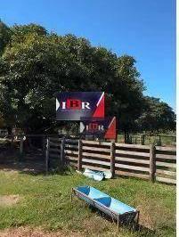 ce3cc457a9c7706faaddc0734360c1cdd4f9bfe6 · Fazenda em Araguaína MT