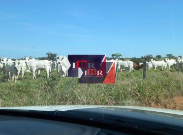 b9f75b88c8ea57c732cfa74054d03c244aa91f16 · Fazenda em Águas Clara - MS