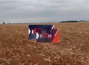 f4357f0c3657193cb6fc9d87112264032875bf8d · Fazenda em Amambai - MS