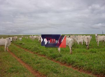 da33581b5a02d7588dff6632d7e3ea25a9c06fc5 · Fazenda em Amambaí - MS