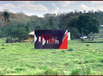 baedd48501fe6319c20c689c9ff0475993efd741 · Fazenda em Sidrolândia/MS