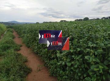 6ac414a2a7c34a583f95015fe17f3c4aa5333593 · Fazenda em São José do Rio Pardo - SP