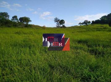 cfaf9b80f45a0508963fcde93a341875b91a987a · Fazenda em Miranda - MS