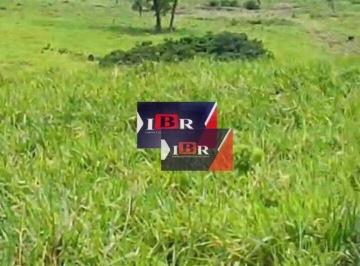6e5a55f83a123be2a60b164a6ed82d509205c533 · Fazenda em Miranda - MS