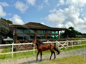 Rural , Chã Grande · Chã Grande - Belíssimo Haras com 35 hectares