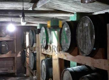 Rural · 10 Quartos · Fazenda em Pinus em São Miguel Arcanjo 545,59 hectares