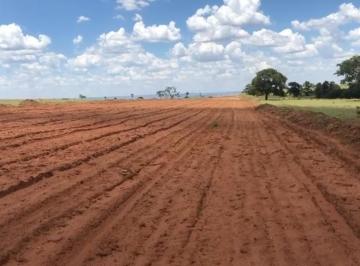 Rural , Caiapônia · galinha morta! o preço foi reduzido de 280 milhões são 12 mil há