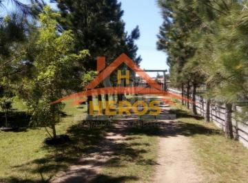 151902_ig0e8b_15190263ac9bf61226d.jpg · Imoveis - em Lami