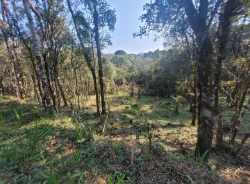 Foto 08 · Terreno, Salto, Campo Alegre, SC