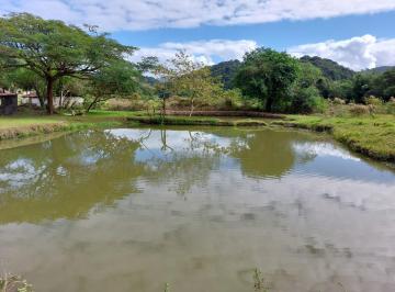 Rural , Cachoeiras de Macacu · Gandolfi C. Imóveis - Sitio com 65.000m² em Cachoeiras de Macacu, confira! Sp080