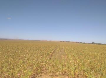 Rural de 4 quartos, Água Fria de Goiás · VENDO BELÍSSIMA FAZENDA EM ÁGUA FRIA DE GOIÁS 1.603 HECTARES 