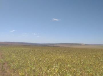 Rural de 4 quartos, Água Fria de Goiás · VENDO FAZENDA DE 350 ALQUERES E 1.603 HECTARES JÁ PLANTADA COM SEDE!!