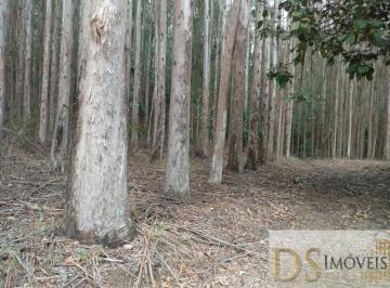 Foto 01 · FAZENDA COM EUCALIPTO A VENDA NO ESTADO DE SÃO PAULO, COM ÁREA TOTAL DE 216 ALQUEIRES, 130 ALQUEIRES