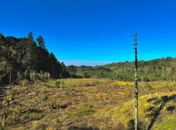 754115.jpg · Terreno em Condomínio - Bairro Eugênio Ferreira