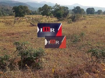 ff6824a8114f536f2ba0d7d3b6e26bf91901a061 · Fazenda em Aquidauana - MS