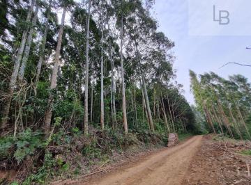 Rural · 25000m² · Sítio à venda no bairro Boa Esperança - Rolante/RS