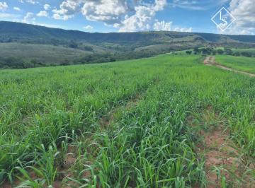 Rural · 1250ha · 1 Quarto · Fazenda de 1.250 há de Área total. Com 2 córregos. Dupla aptidão e planta grãos