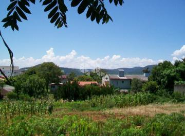 494135_iw4v3x_494135659490a61e49c.jpg · Amplo terreno próximo ao Centro de Ivoti