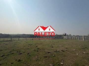 Foto 01 · Sítio 26 alqueires com topografia plaina para criação de gado a venda em Porangaba