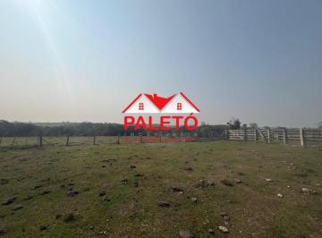 Foto 01 · Sítio 26 alqueires com topografia plaina para criação de gado a venda em Porangaba