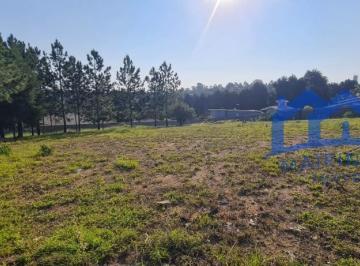 Foto 01 · Lote/Terreno à Venda, 2.500 m² por R$ 1.200.000 Cód. ps248