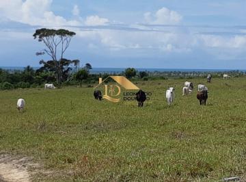 Foto 02 · Fazenda, Mogiquiçaba, Santa Cruz Cabrália, BA