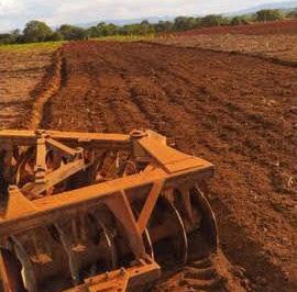 Rural , Minaçu · VENDO FAZENDA PARA LAVOURA COM 210 ALQUEIRES- OPORTUNIDADE!!