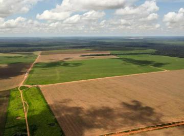 Rural , Sinop · Lavoura com 3.590 hectares | MT