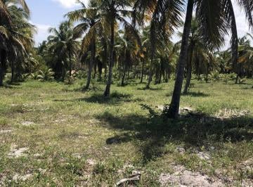 Terreno · 90000m² · Área de terra ideal para loteamento, vista mar na porção dos fundos