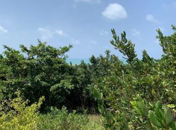 Terreno · 3354m² · Área Terreno espetacular, com vista escalonada ao Chapadao e ao mar de Pipa