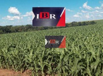 e9aee8a691e848724a86d8b5a85fb2ee93bcbf7a · Fazenda em Aporé - GO