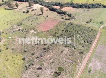 81ff1585-a472-4f32-a28a-7dabfcd2fdab.PNG · CHáCARA NA QUINTAS DOS INDAIáS - ZONA RURAL DE FORMOSA-GO