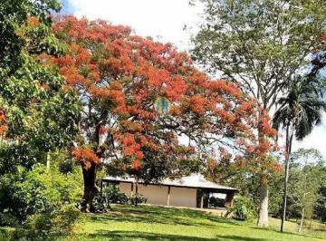 Rural · Fazenda à Venda em Miranda / MS