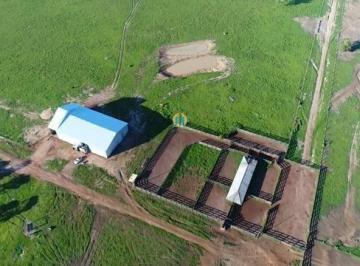 Rural · Linda Fazenda/MT