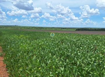 Rural · 1900m² · Fazenda a venda em Paranatinga Mato Grosso