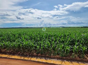 Rural · Linda Fazenda/MT