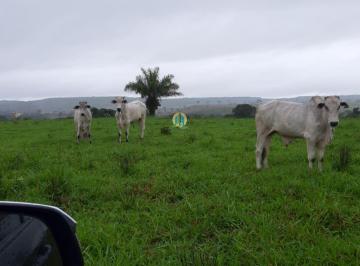 Rural · Grande Oportunidade!